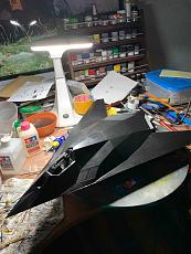 F-117 nighthawk 1/32-img_0044.jpg