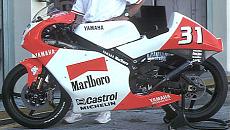 [MOTO] WIP Yamaha TZM250 1994-ny-yzr250a1996.jpg