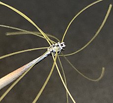 [AUTO] Osella Alfa Romeo FA1-E - 3D scratchbuild 1/43-image1647544021.916312.jpg