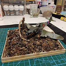 Messerschmith BF 109 G-10-img20220527232018.jpg