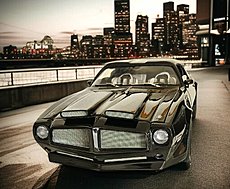 Pontiac Firebird 1970 "1/8 scale"-img-20250609-wa0041.jpg