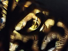 [Diorami] Gatto magico stregone-photo_2025-12-28_21-37-49.jpg