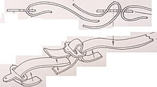 Shadow DN1 - Wolf kit 1/20-00a.jpg