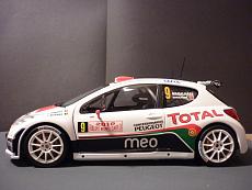 [AUTO] Peugeot 207 S2000 IRC scala 1/24-p1020862.jpg