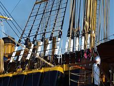 "Festa della Marineria" con Amerigo Vespucci-dsc01869.jpg