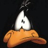 Daffy Duck avatar