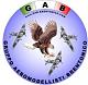Il G.A.B. ( Gruppo Aeromodellisti Brentonico),  nato nel maggio 2003, dall'idea di tre modellisti dell'altopiano, Mauro Cortese, Daniele Zeni e Gianmarco Sartori, con lo scopo di...