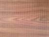 rosewood_tavolette3.jpg