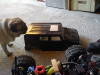 DSC00245.jpg