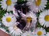 IMG_20111019_172805.jpg