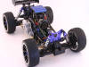 buggy1-5.jpg